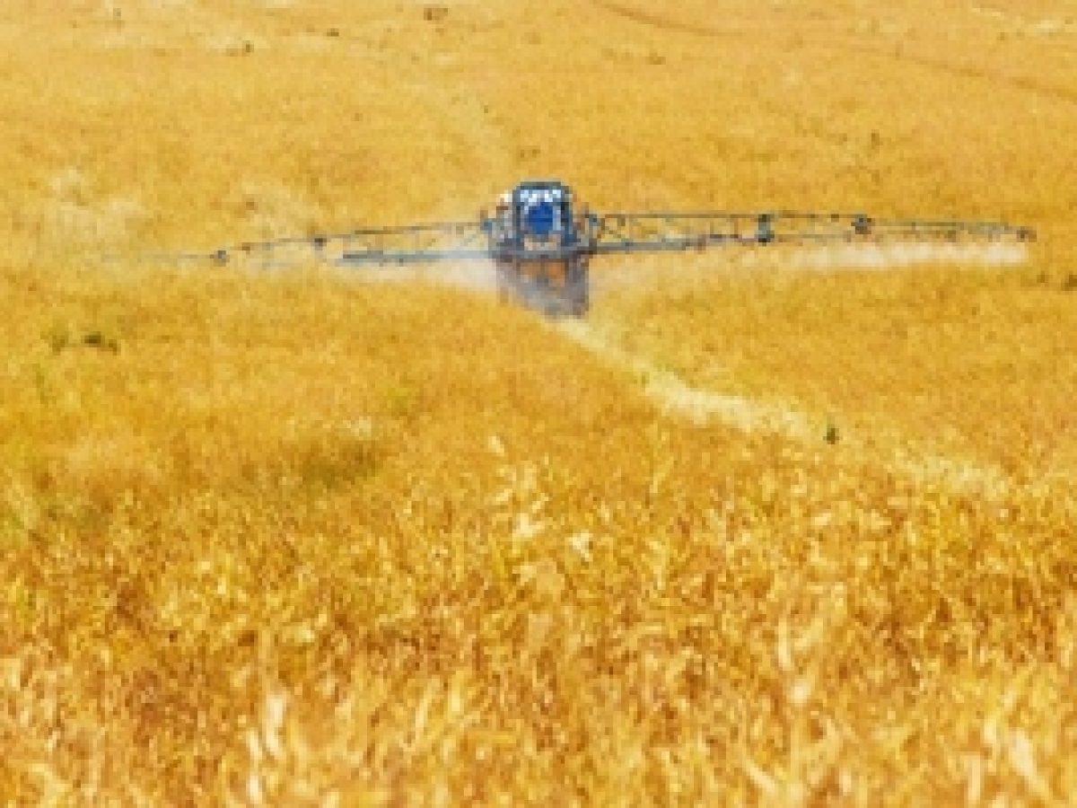 Πάρκινσον: Φυτοφάρμακο σχετίζεται με σημαντική αύξηση του κινδύνου εμφάνισης της νόσου