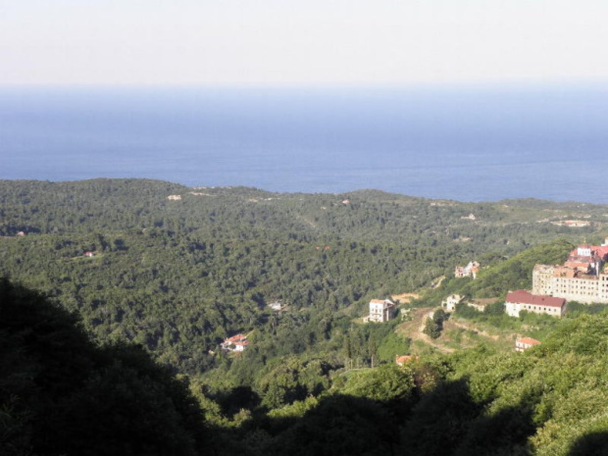 Ιερομόναχος Γυμνάσιος Κολιτσιώτης (1899 – 1 Μαρτίου 1965)