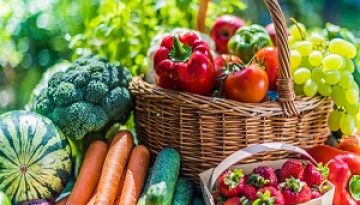 Τομέας Αγροτικής Ανάπτυξης της Ενωμένης Ρωμηοσύνης – Στιγμιότυπα από Πρόσφατη Δραστηριότητα Αγροτικών Ομάδων