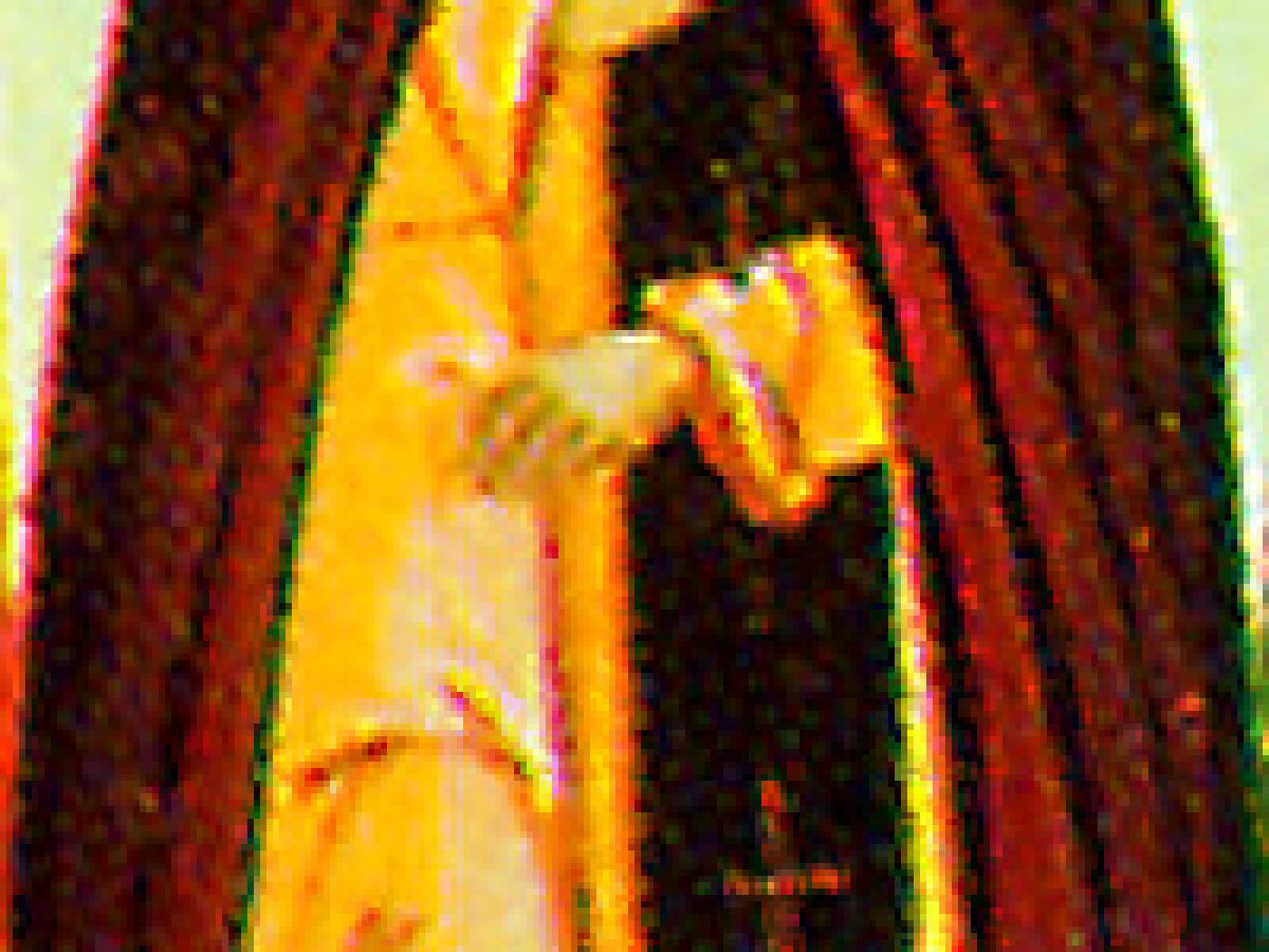 Ο Όσιος Δανιήλ του Περεγιασλάβλ-Ζαλέσκι (7 Απριλίου)